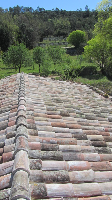 Img 3509